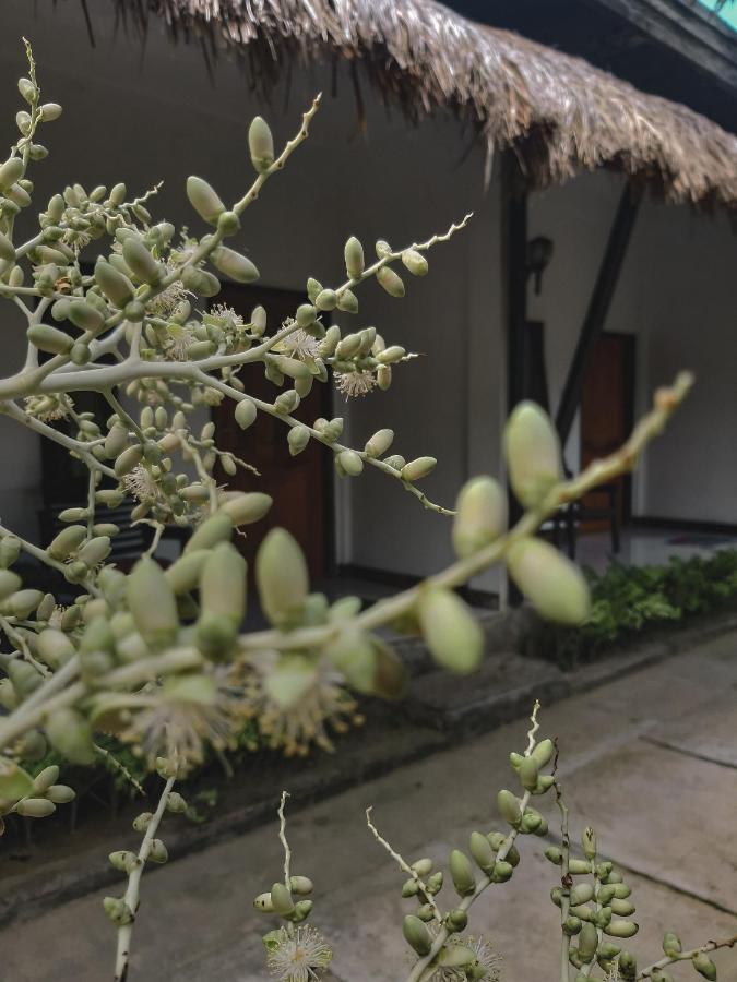 Mimi Kuta Homestay Bagian luar foto